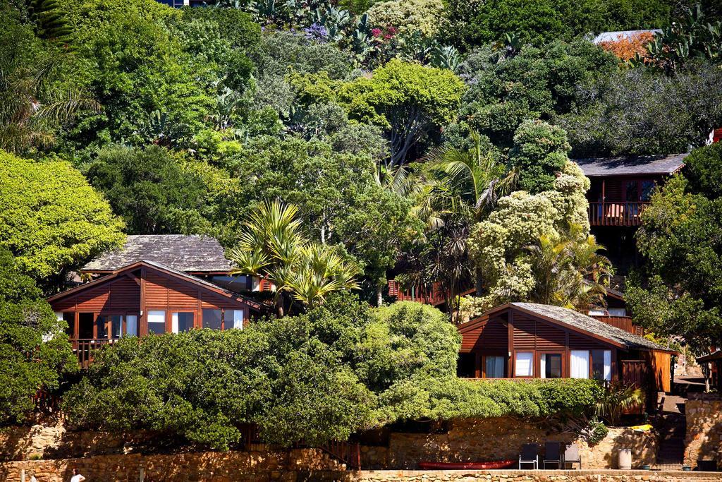 Under Milkwood Resort Knysna Buitenkant foto